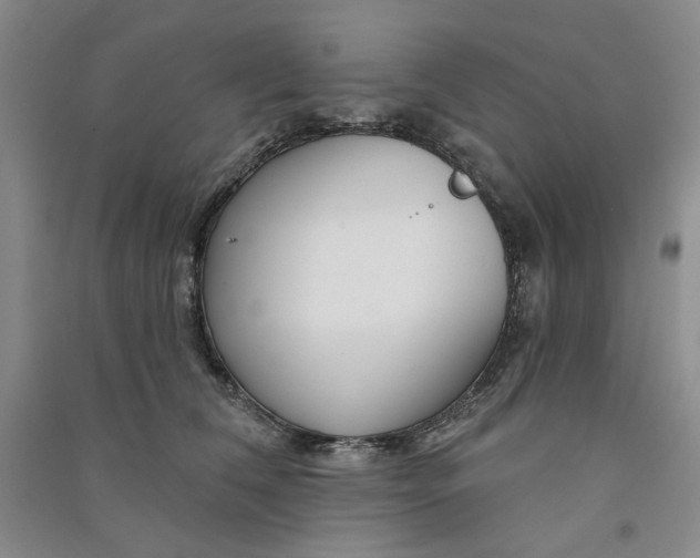 X0000090870612200708171626