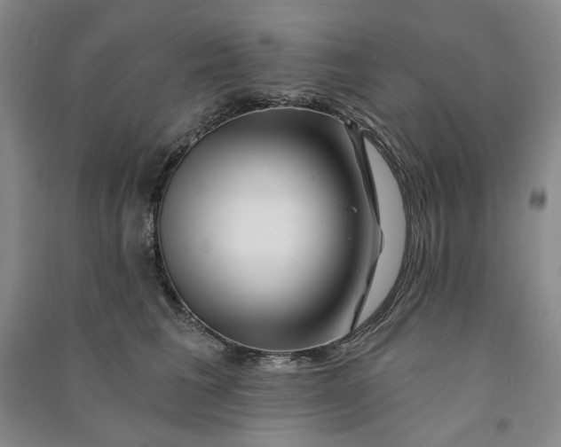 X0000090870613200708171626