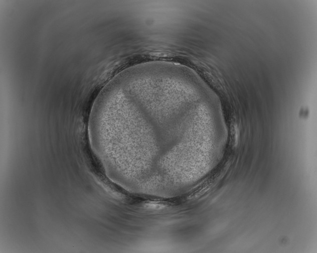 X0000090870614200708171626