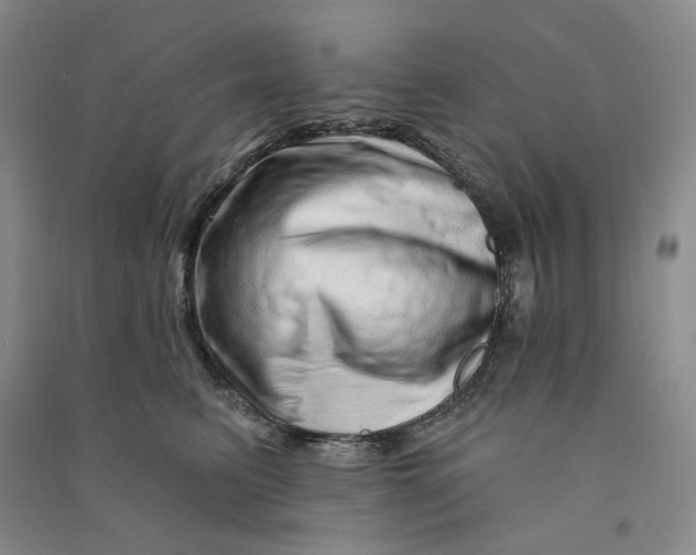 X0000090870615200708171626