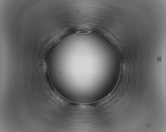 X0000090870617200708171626