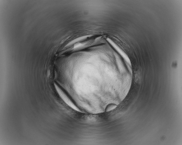 X0000090870618200708171626