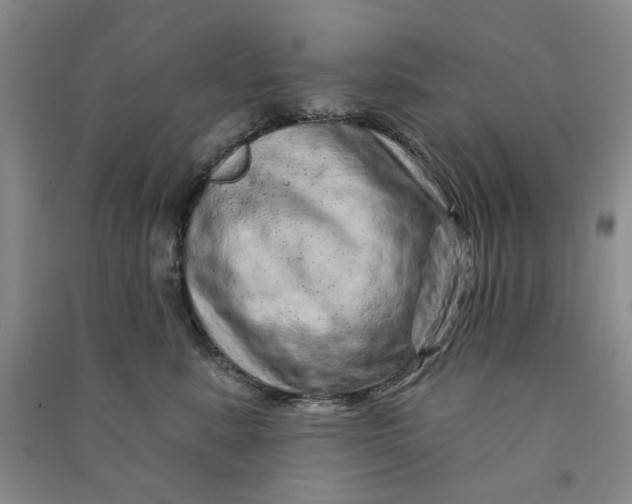 X0000090870619200708171626