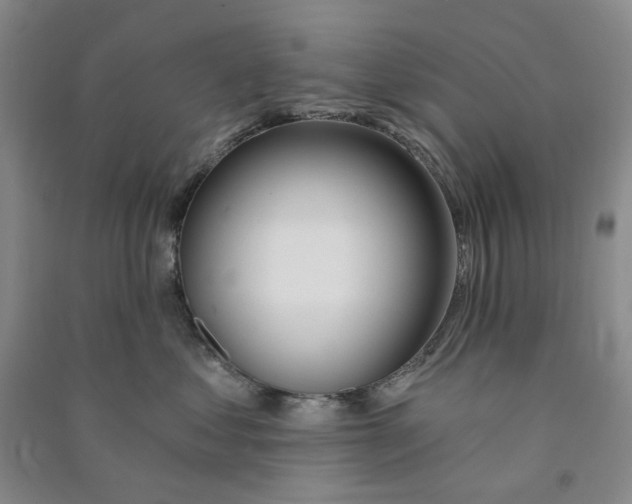 X0000090870621200708171626