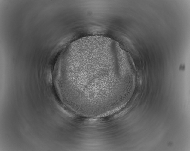 X0000090870622200708171626