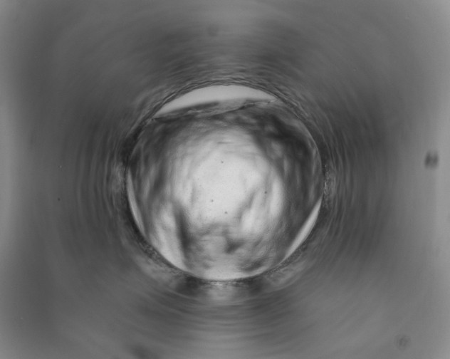 X0000090870623200708171626