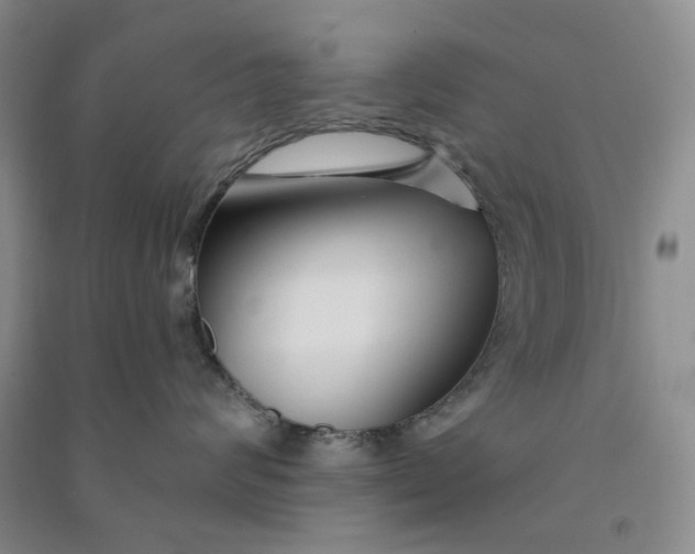 X0000090870624200708171626