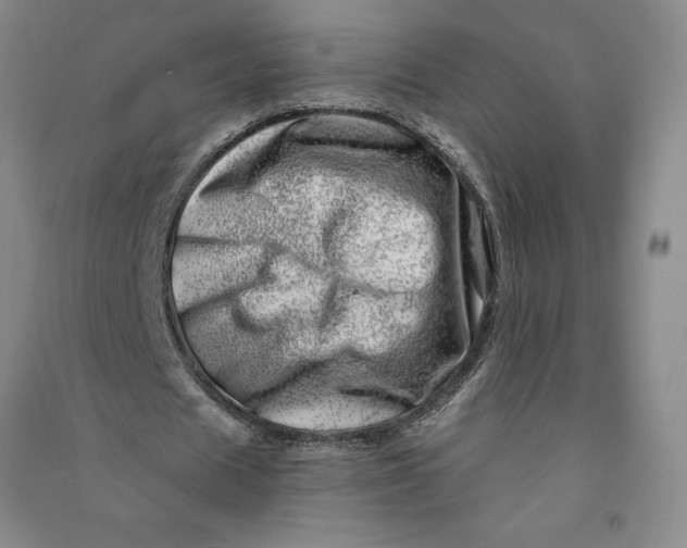 X0000090870625200708171626