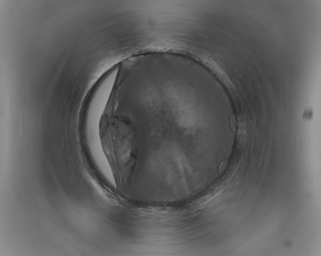 X0000090870626200708171626