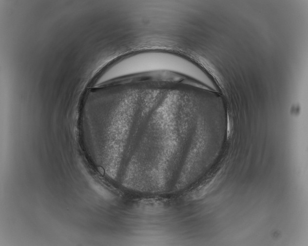 X0000090870627200708171626