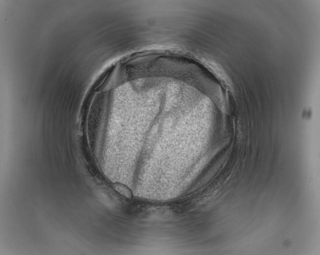 X0000090870628200708171626