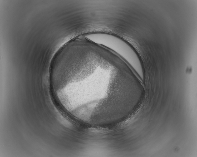 X0000090870630200708171626