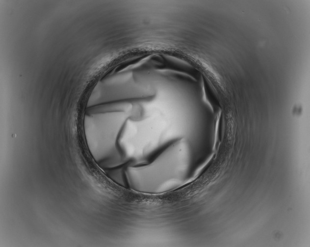 X0000090870631200708171626