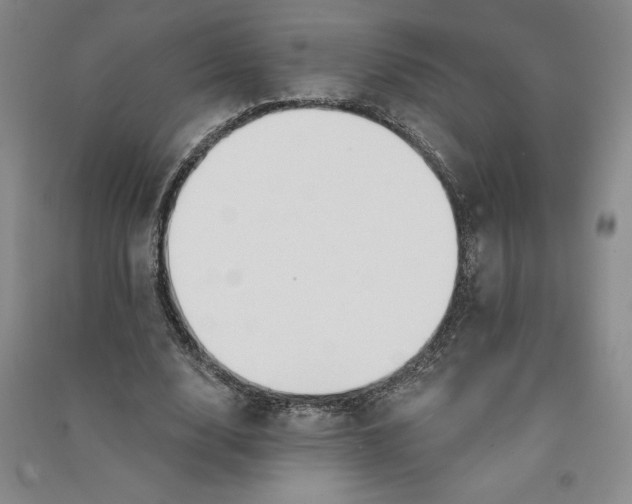 X0000090870632200708171626