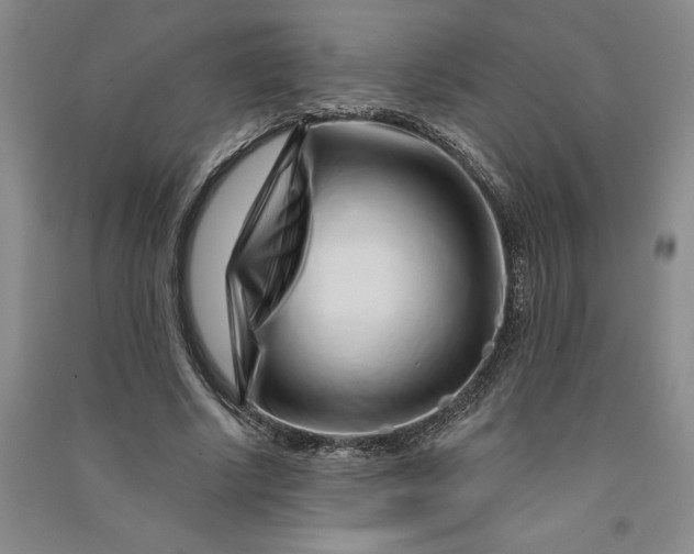 X0000090870634200708171626