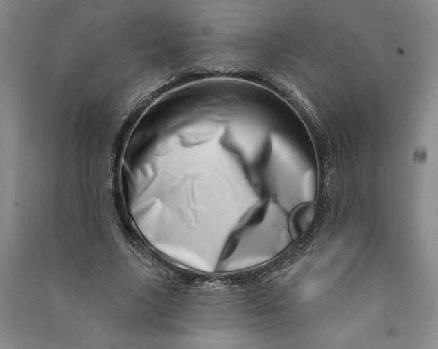 X0000090870635200708171626