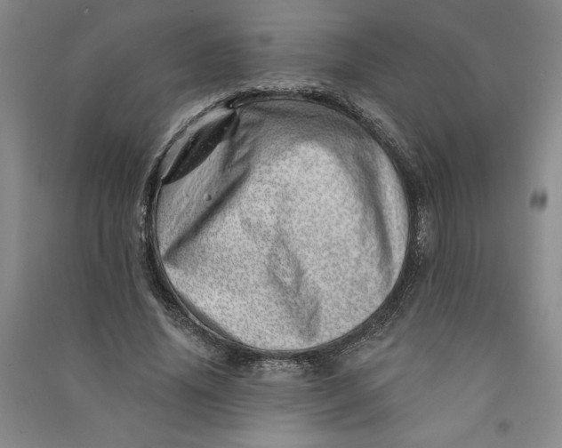 X0000090870636200708171626