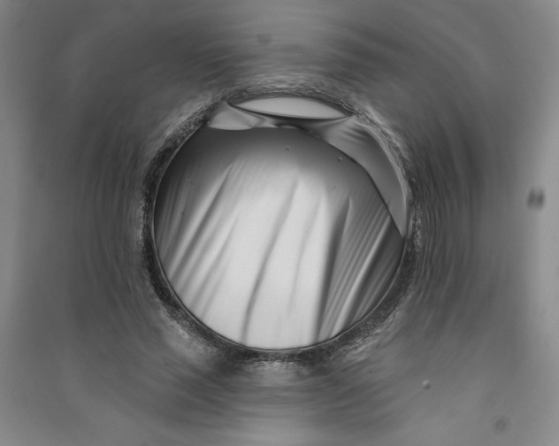 X0000090870637200708171626