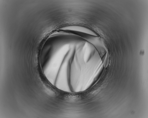 X0000090870638200708171626