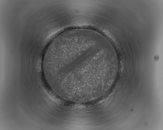 X0000090870640200708171626