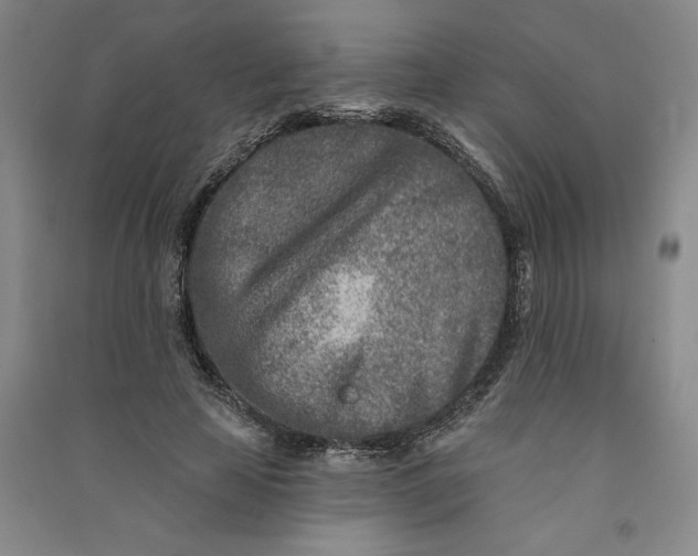 X0000090870641200708171626