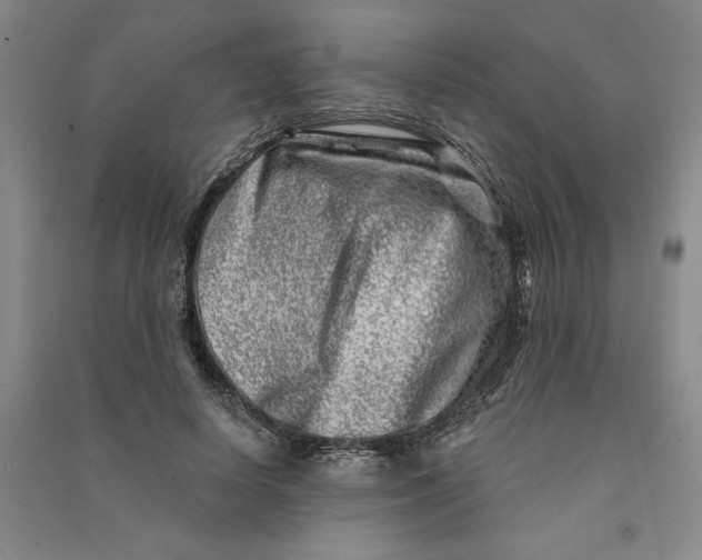 X0000090870642200708171626