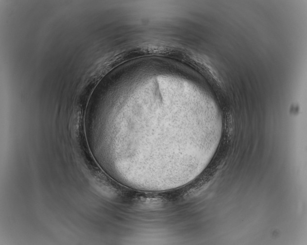 X0000090870645200708171626