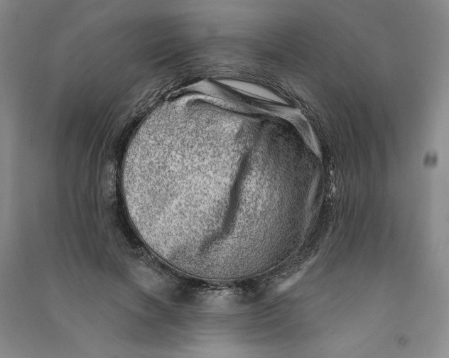 X0000090870646200708171626