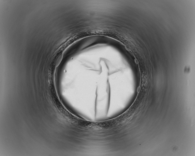 X0000090870648200708171626