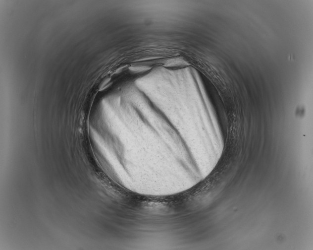 X0000090870649200708171626