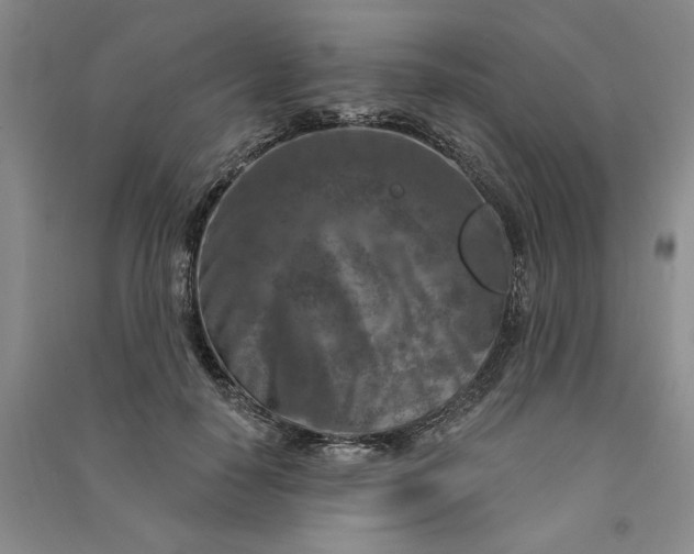 X0000090870650200708171626