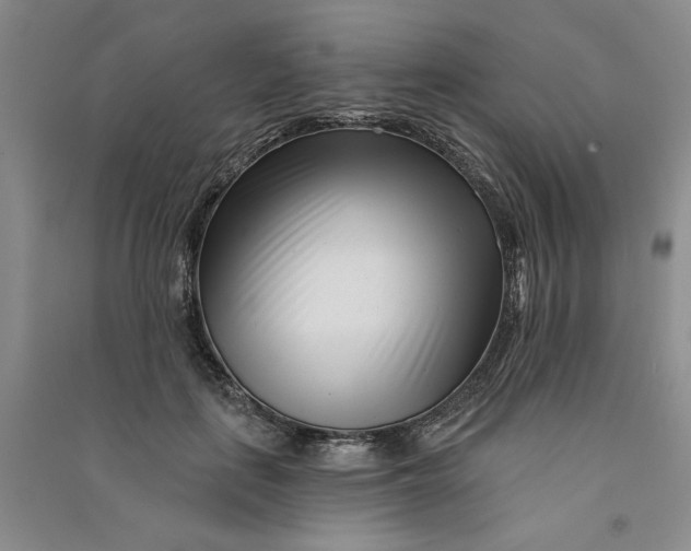 X0000090870651200708171626