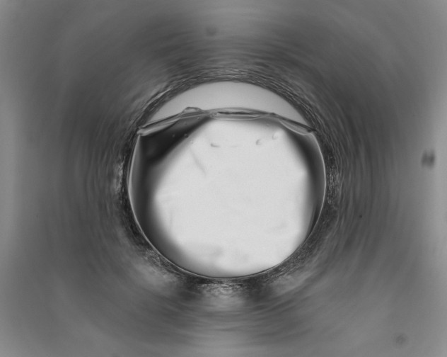 X0000090870652200708171626