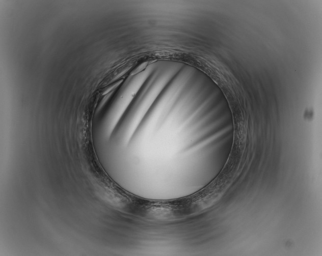 X0000090870653200708171626