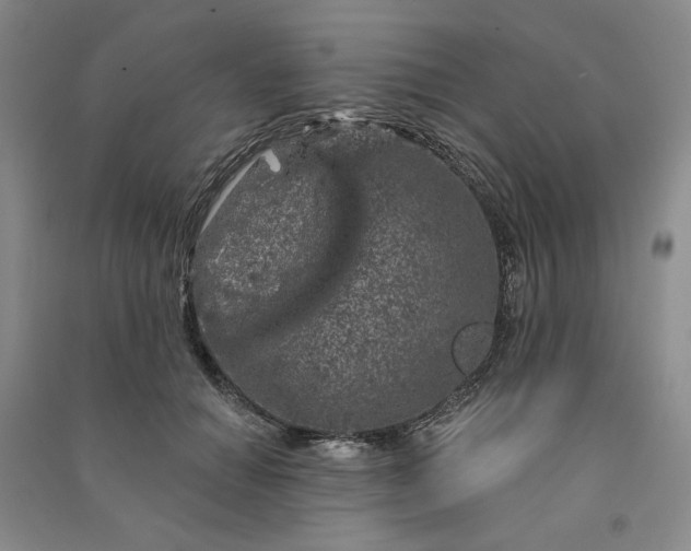 X0000090870654200708171626