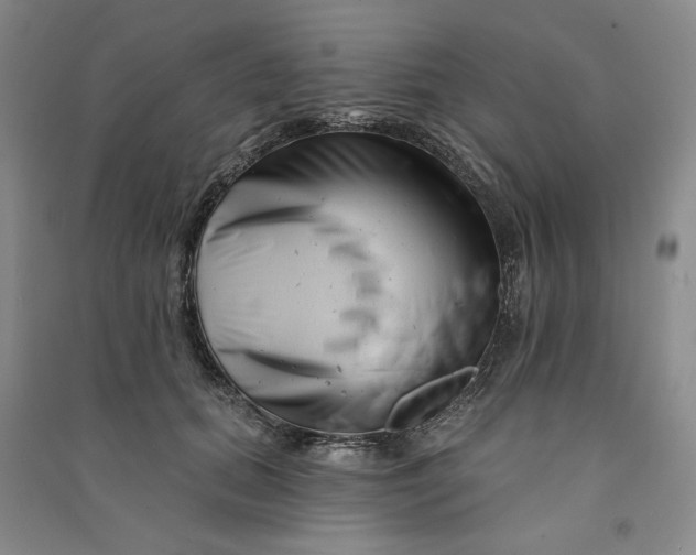 X0000090870655200708171626