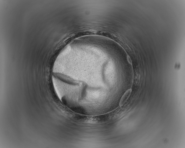 X0000090870656200708171626