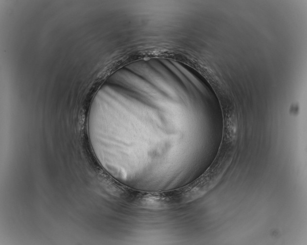 X0000090870657200708171626