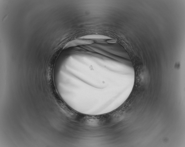 X0000090870658200708171626