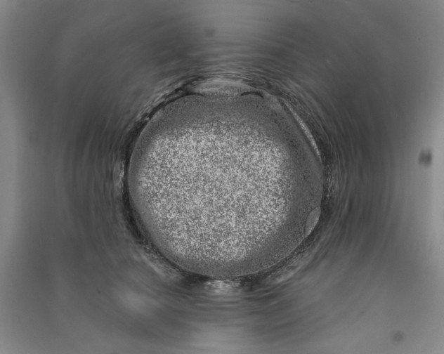 X0000090870660200708171626