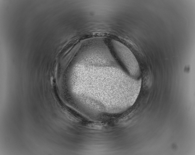 X0000090870661200708171626