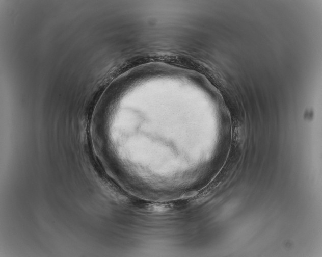 X0000090870662200708171626