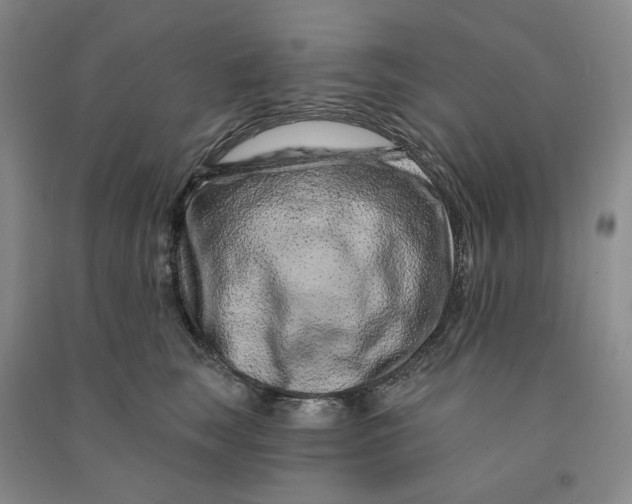 X0000090870663200708171626