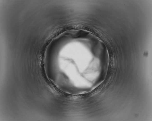 X0000090870664200708171626