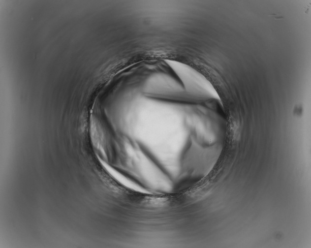 X0000090870665200708171626