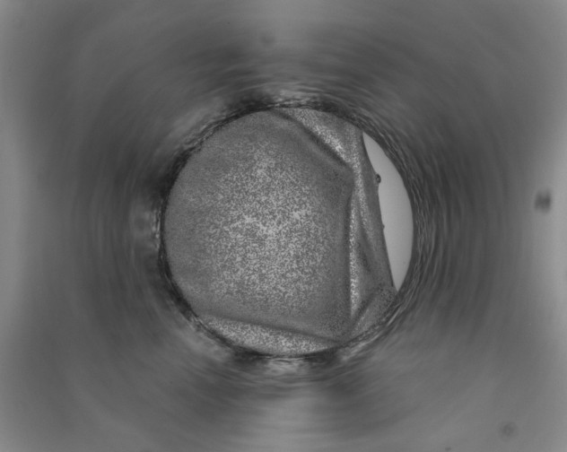 X0000090870666200708171626