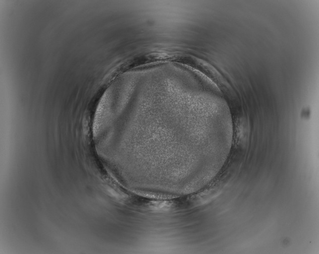 X0000090870667200708171626