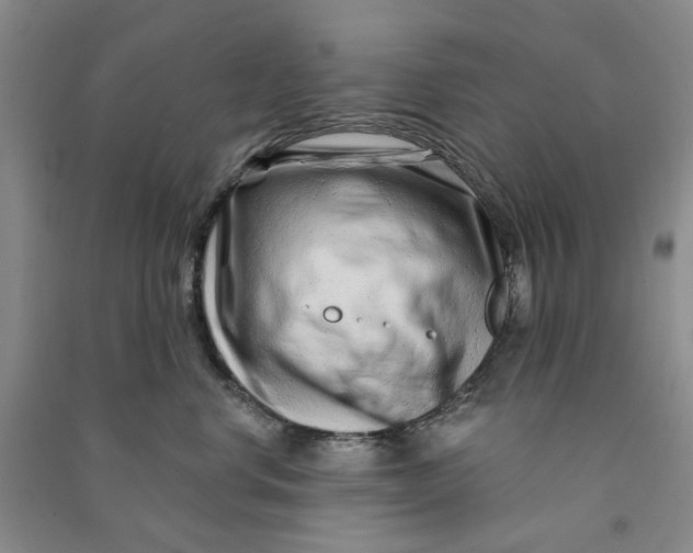 X0000090870668200708171626