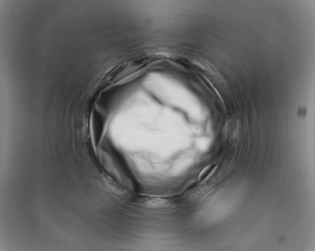 X0000090870669200708171626