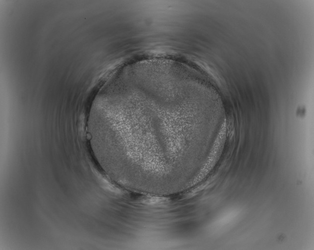 X0000090870670200708171626